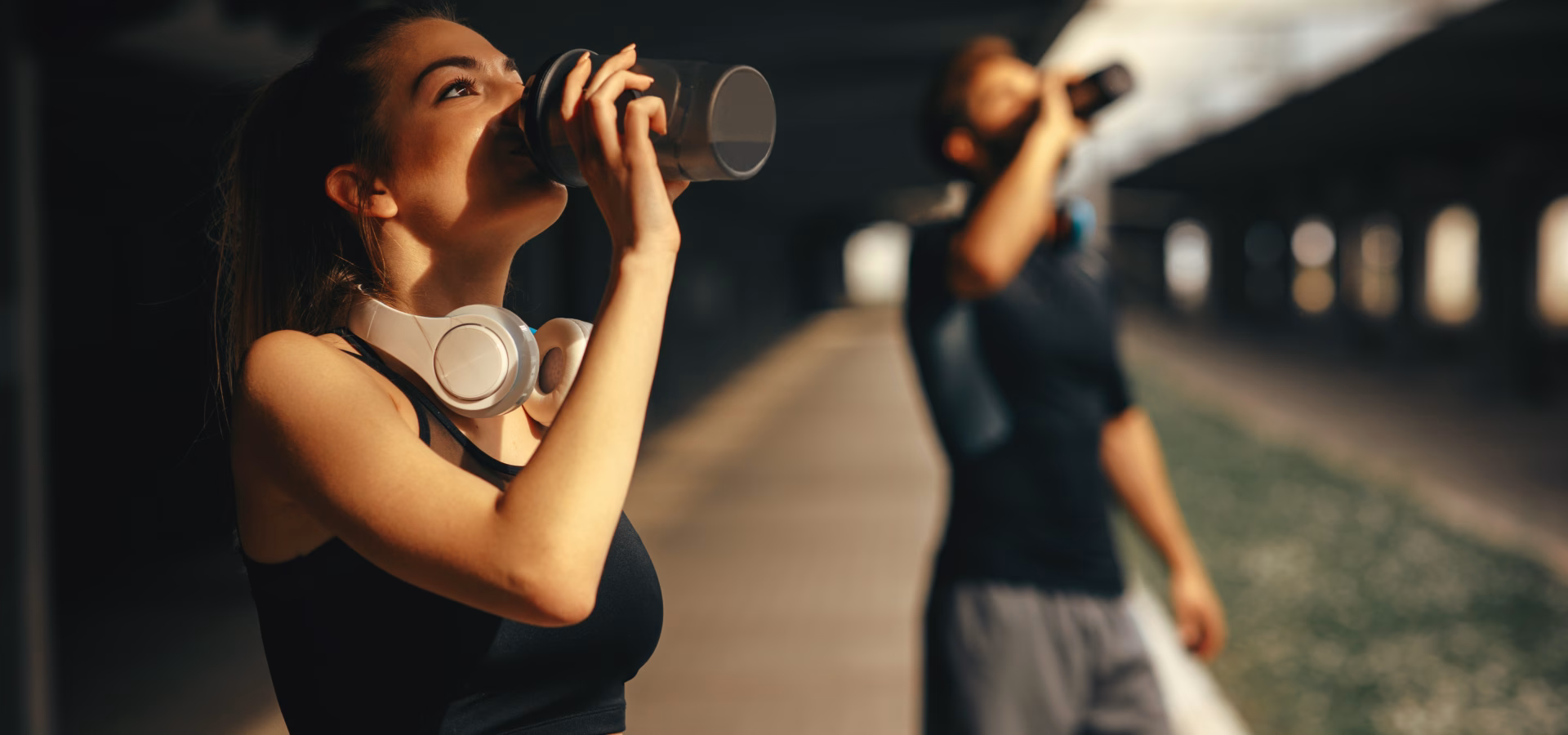 Paid Search Agency, PPC Management & Strategy, Diony